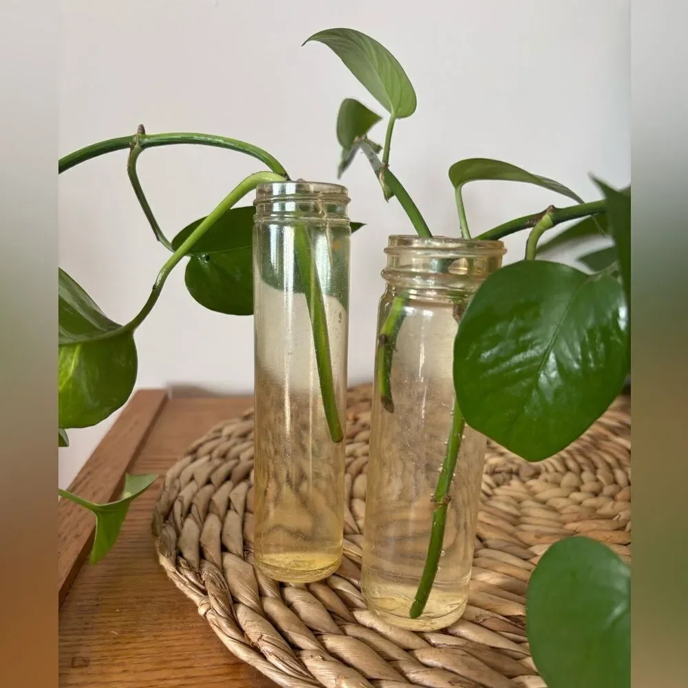 🎀Vintage🎀 1940s Pair of Bottles Found In The Sea